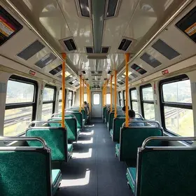 trem entre Minas e Cariacica