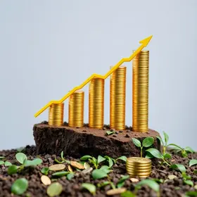 Cariacica investimentos