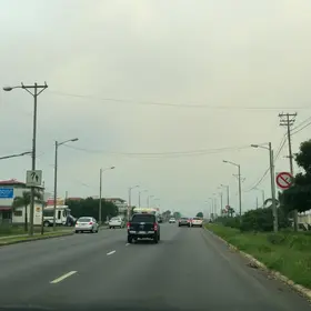 carro fumacê