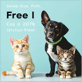 castração gratuita de cães e gatos