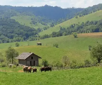 turismo rural em Cariacica